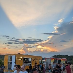 Meet your Posher, Lily